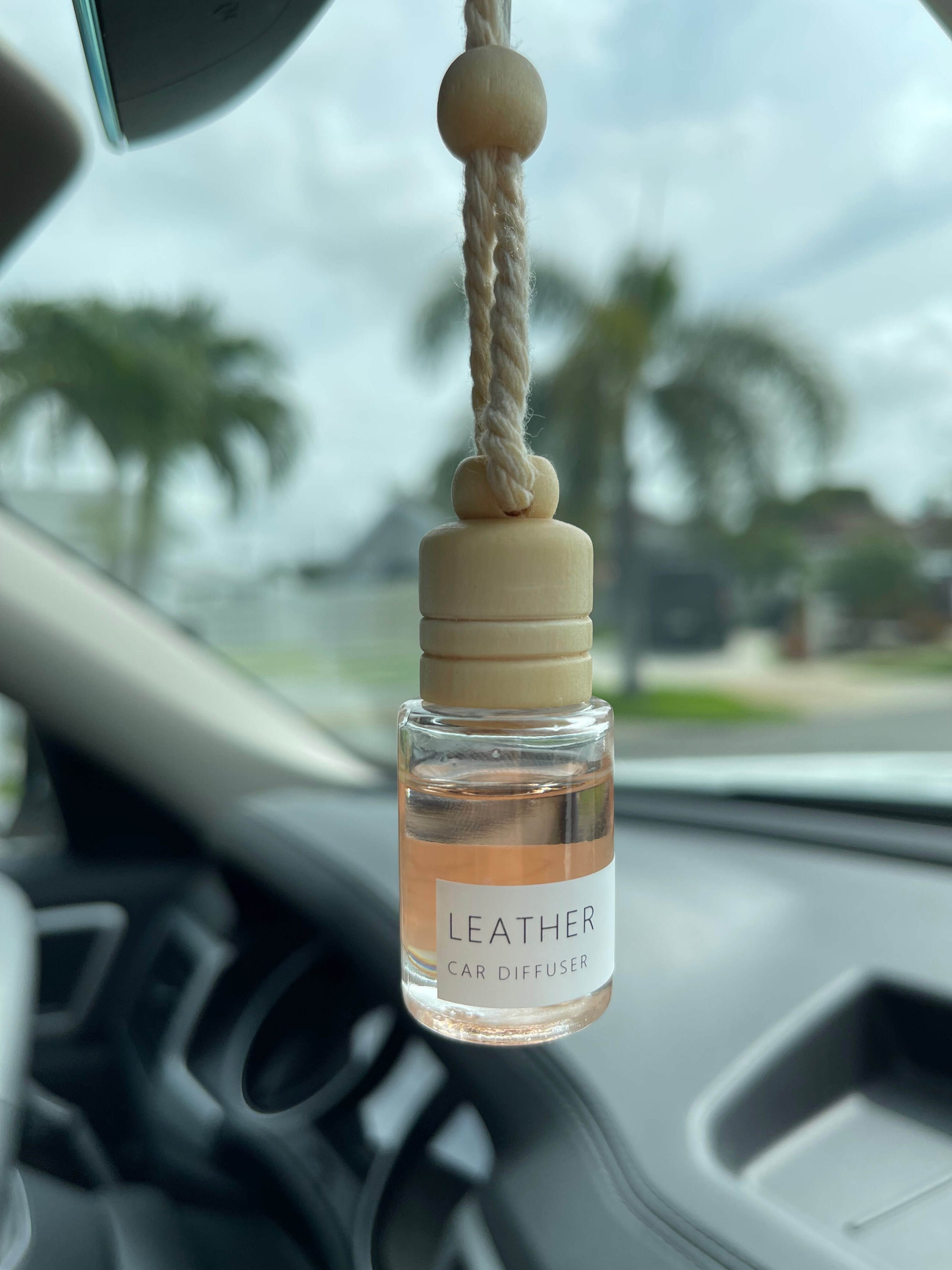 Zubebe 30 Pack 8 ml Car Diffuser Air Freshener Bottle Empty Car Essential  Oil Diffuser Auto Glass Perfume Diffuser Bottle with Vent Clip Wooden Caps